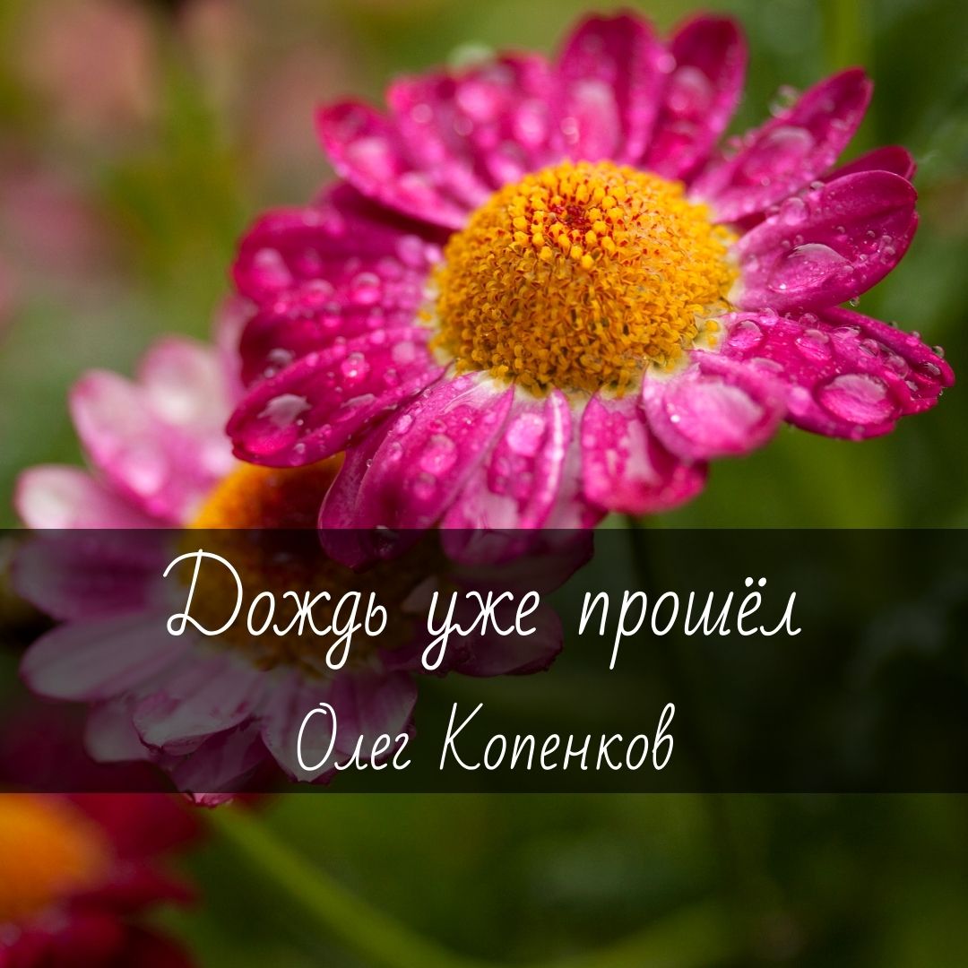 Ноты для гитары "Дождь уже прошёл" Олег Копенков