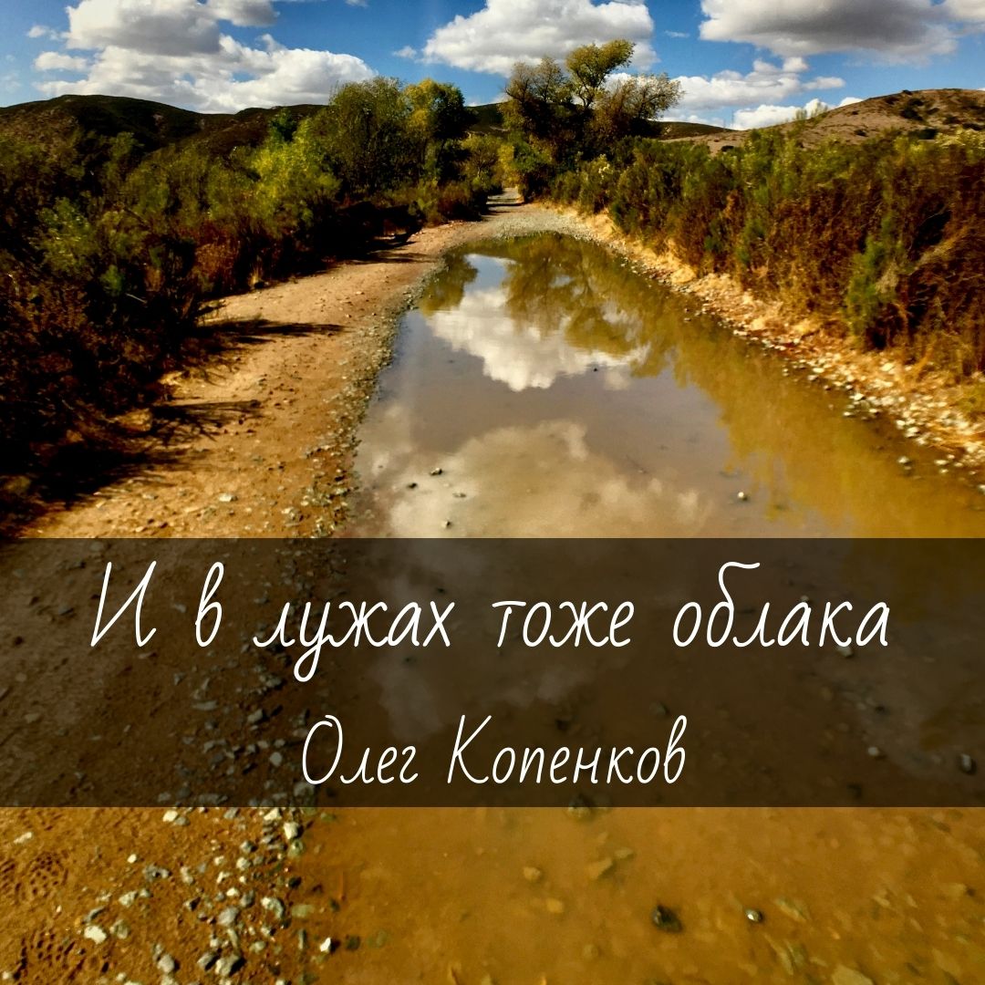 Ноты для гитары "И в лужах тоже облака" Олег Копенков