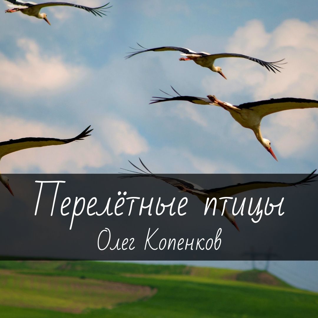 Ноты для гитары "Перелётные птицы" Олег Копенков